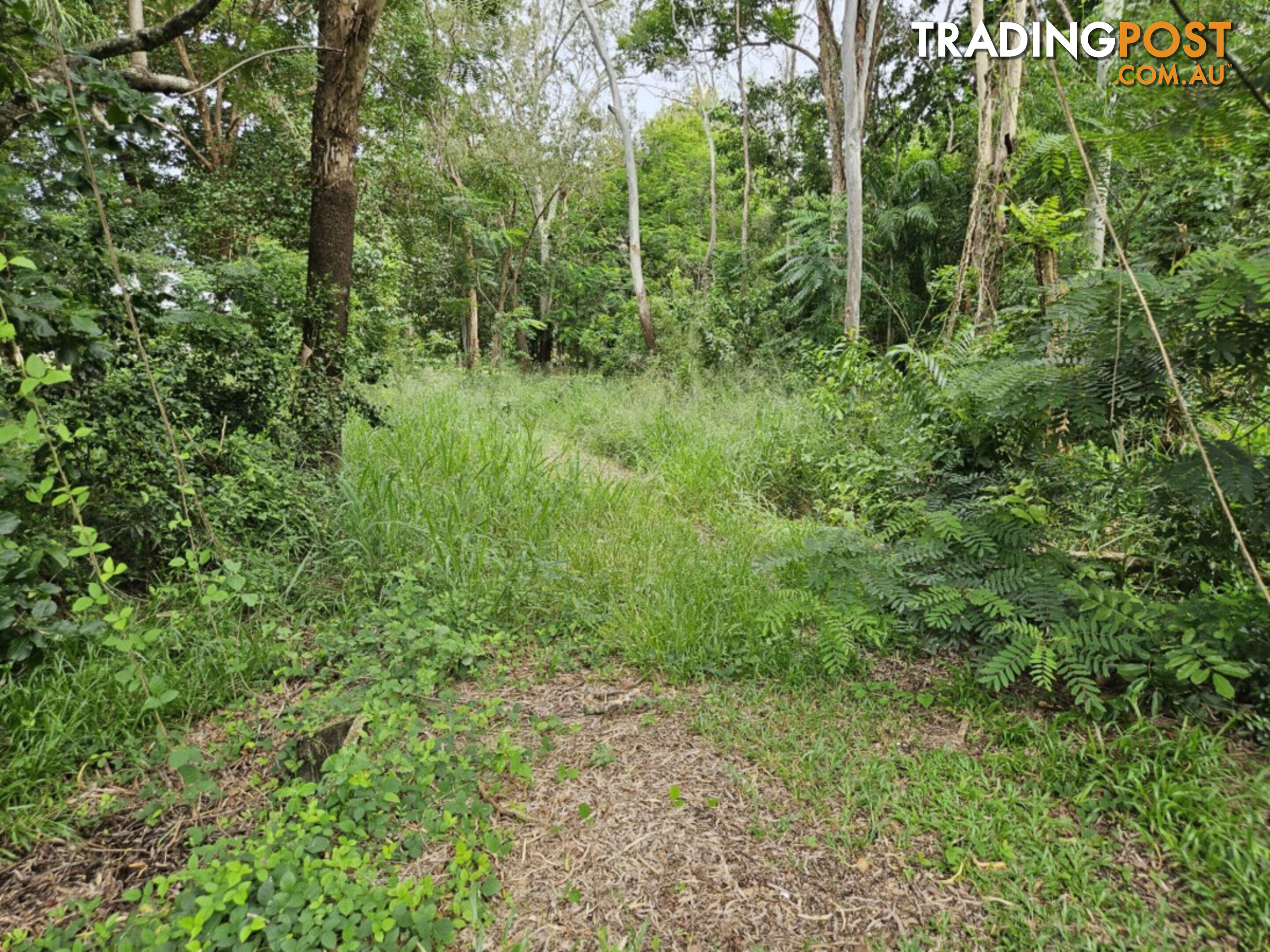 16 Forrest Drive Forrest Beach QLD 4850