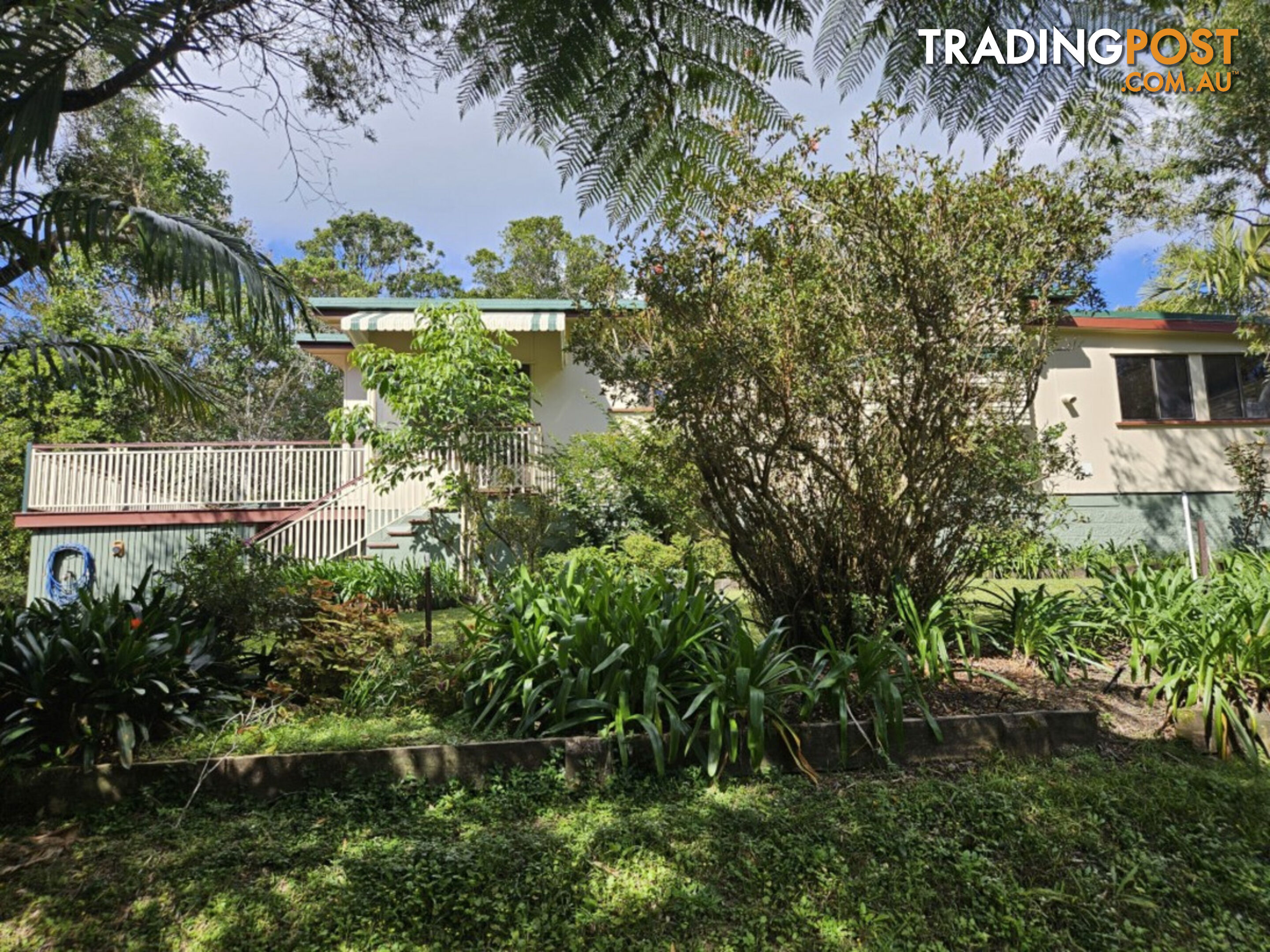 31 Lennox Crescent Paluma QLD 4816