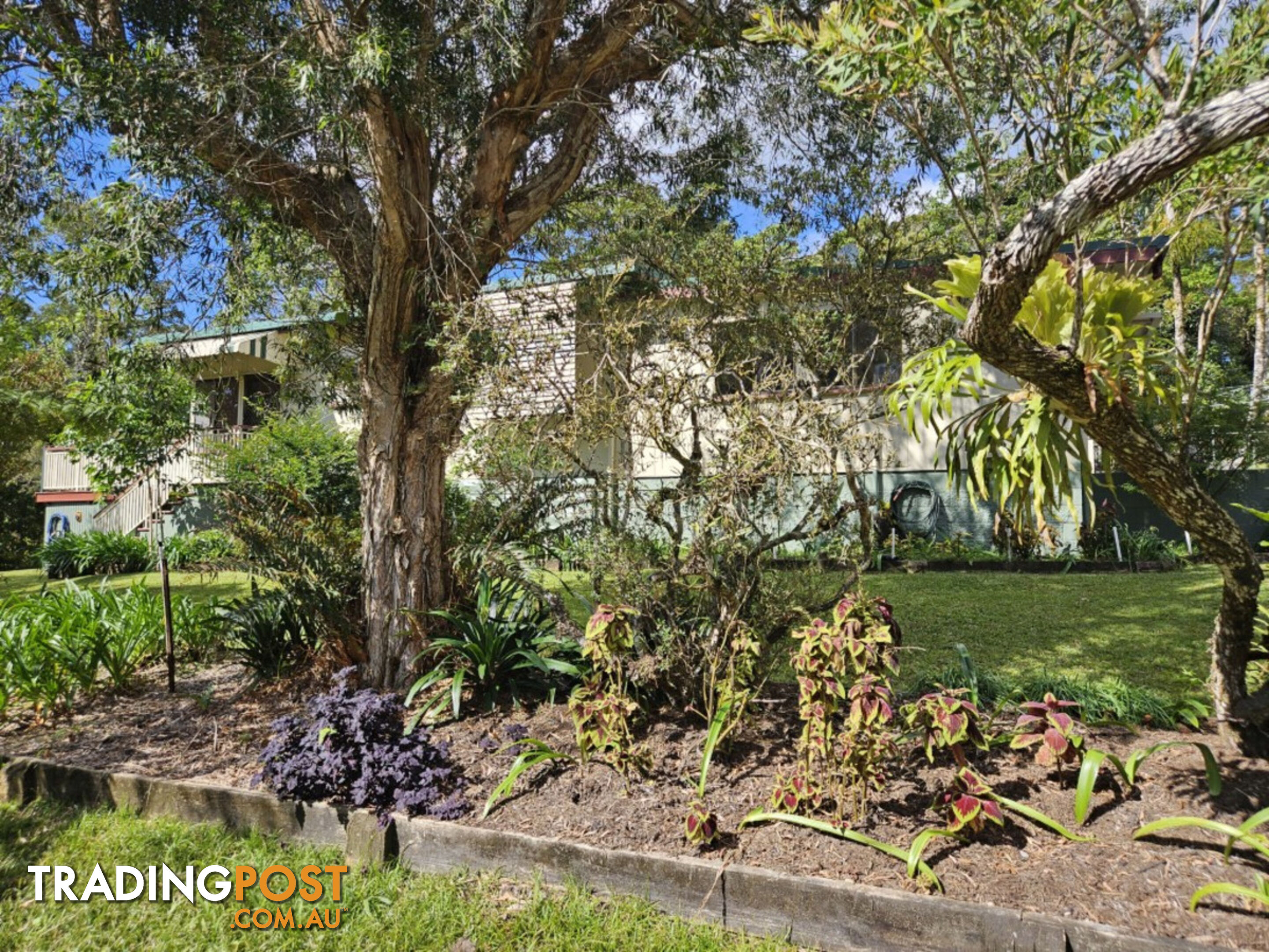 31 Lennox Crescent Paluma QLD 4816