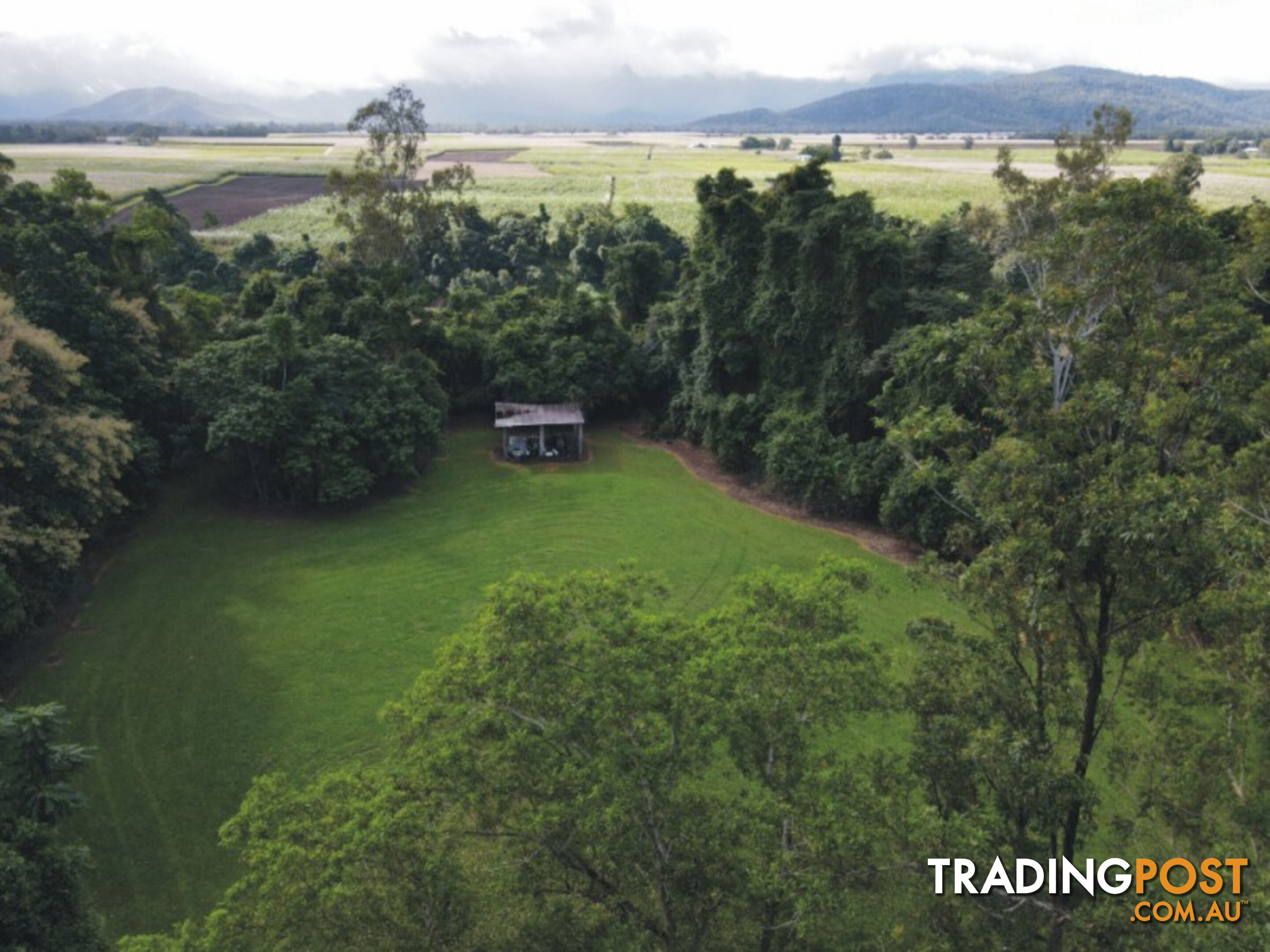 202 Sheahan's Road, Long Pocket Ingham QLD 4850