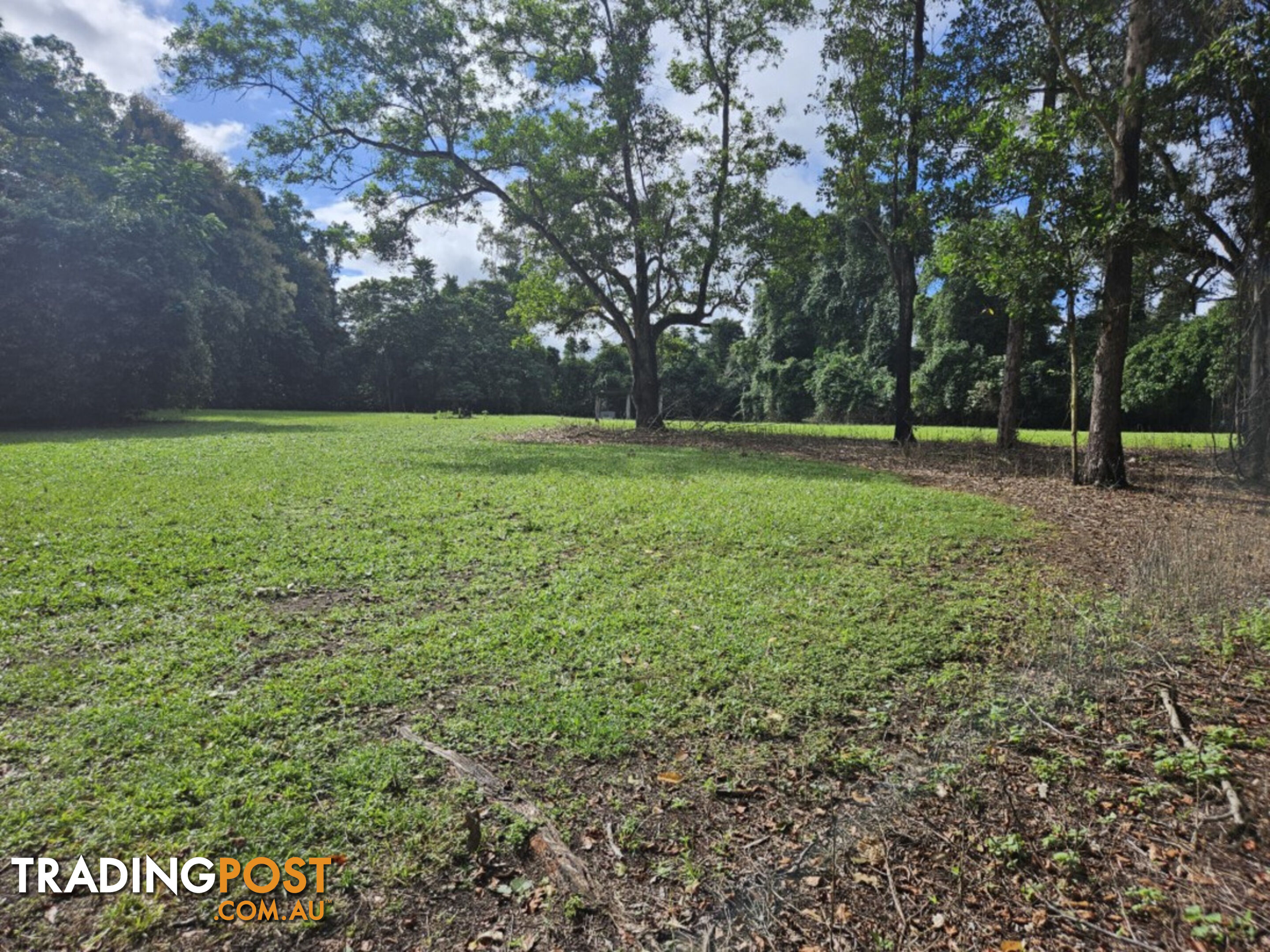 202 Sheahan's Road, Long Pocket Ingham QLD 4850