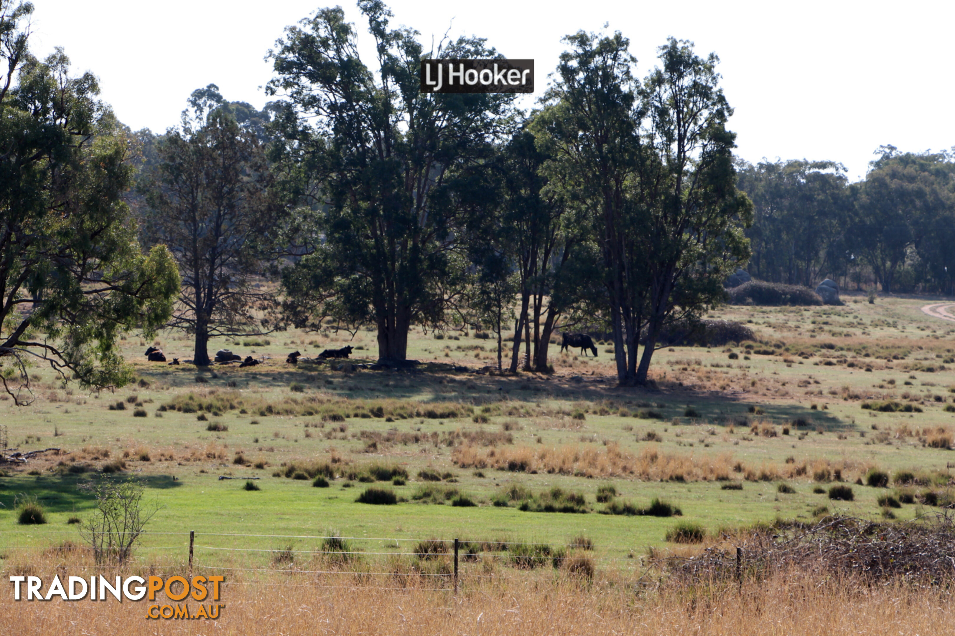 1733 Copeton Dam Road INVERELL NSW 2360