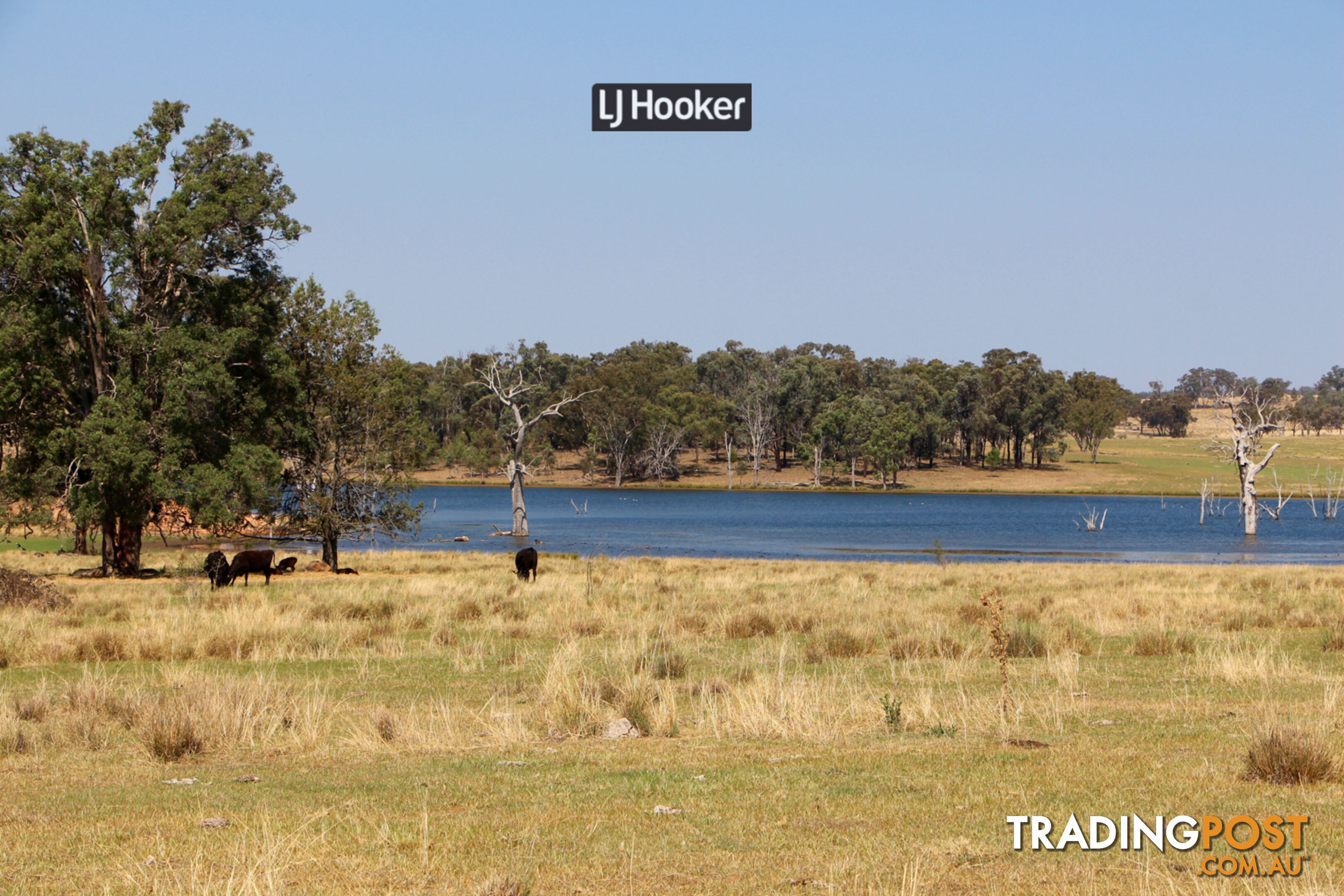 1733 Copeton Dam Road INVERELL NSW 2360