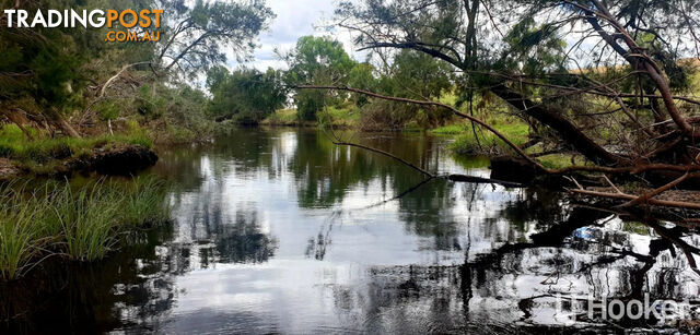 557 Pindari Dam Road INVERELL NSW 2360