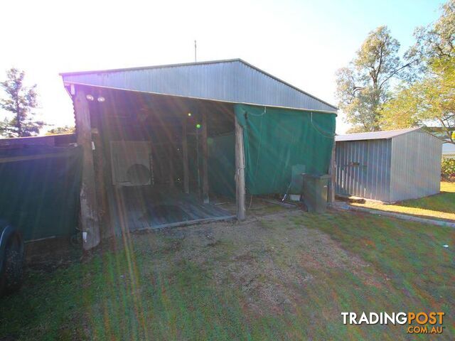 10 Bukkulla Street ASHFORD NSW 2361