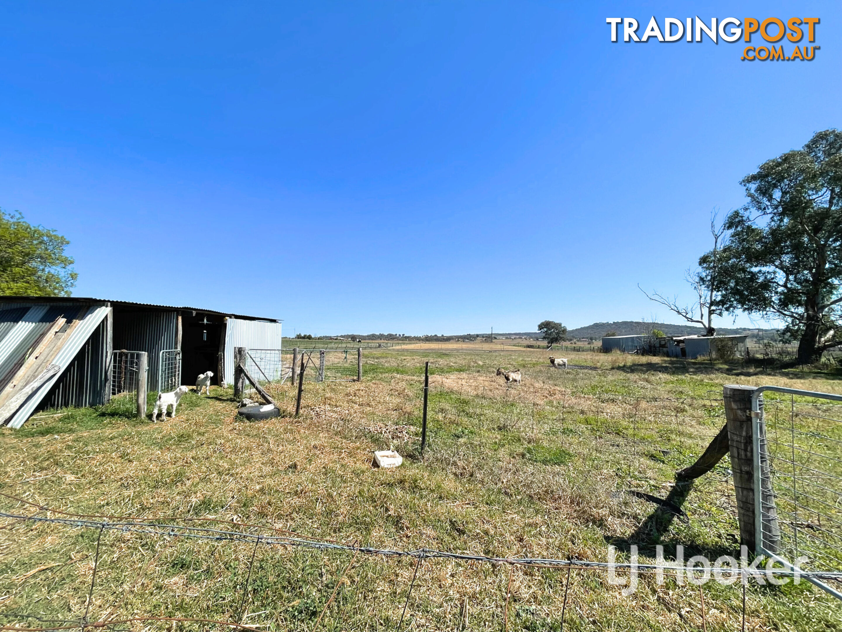 220 Old Bundarra Road INVERELL NSW 2360