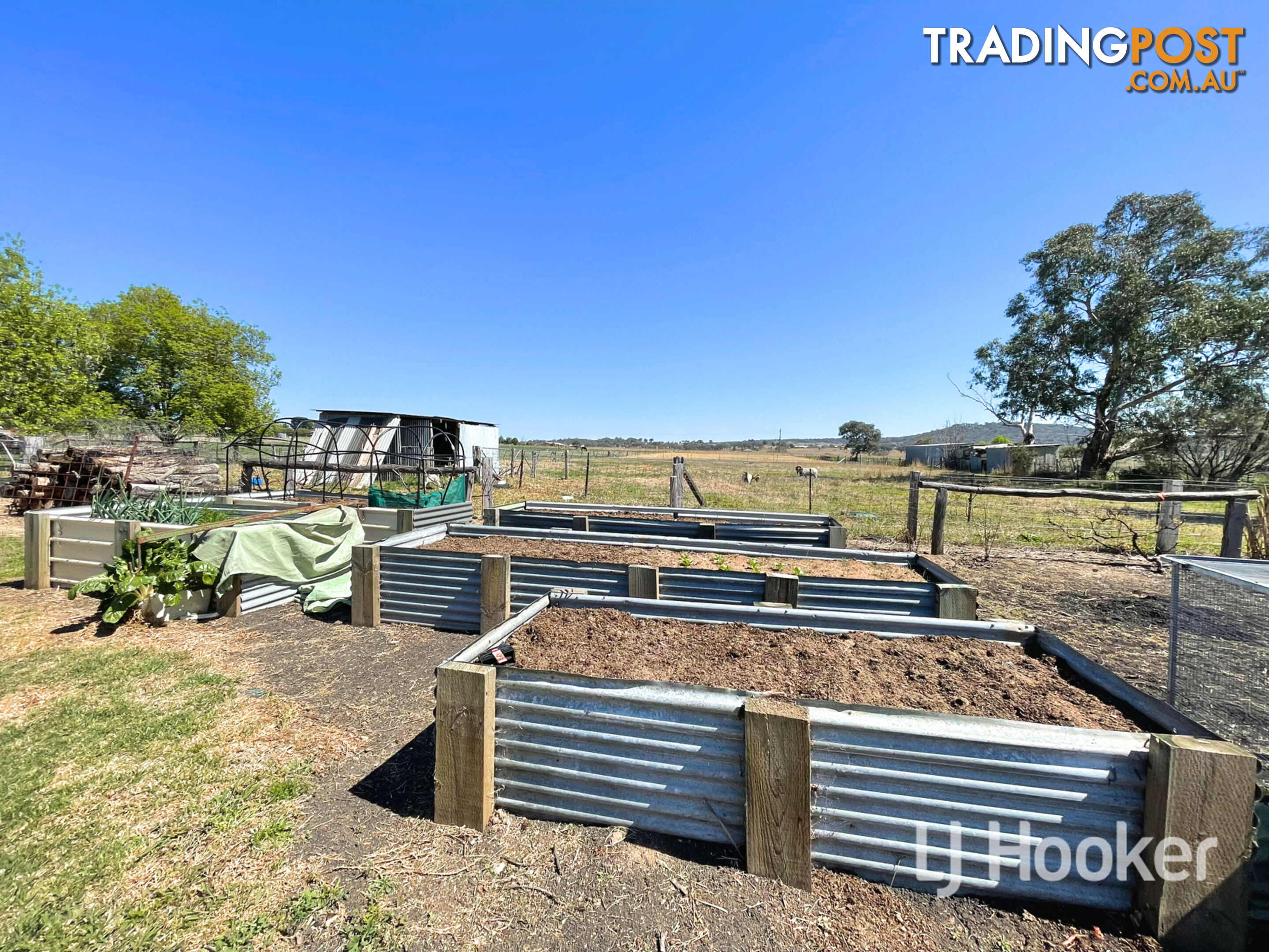 220 Old Bundarra Road INVERELL NSW 2360