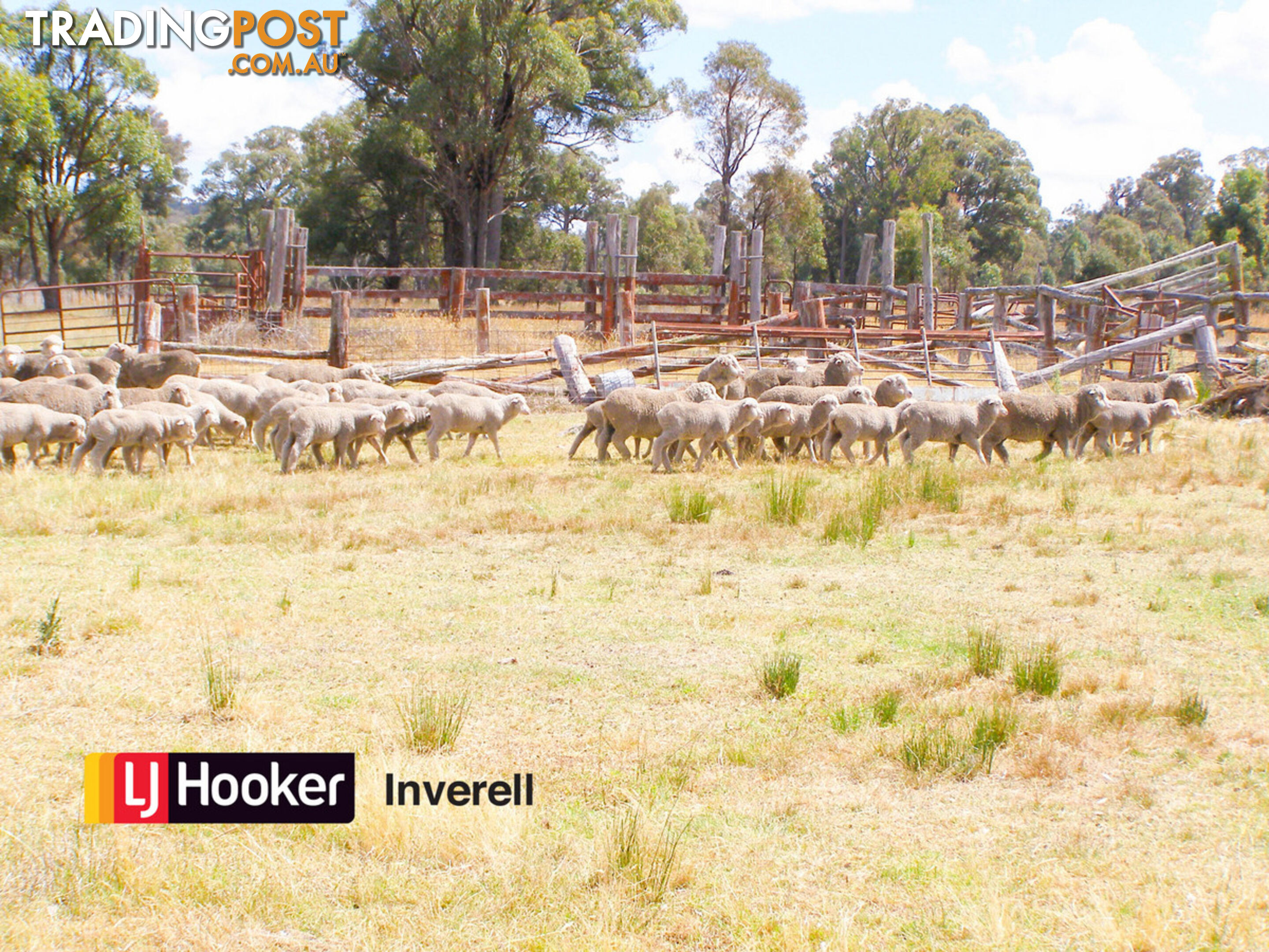 1178 Moredun Dams Road INVERELL NSW 2360