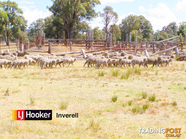 1178 Moredun Dams Road INVERELL NSW 2360