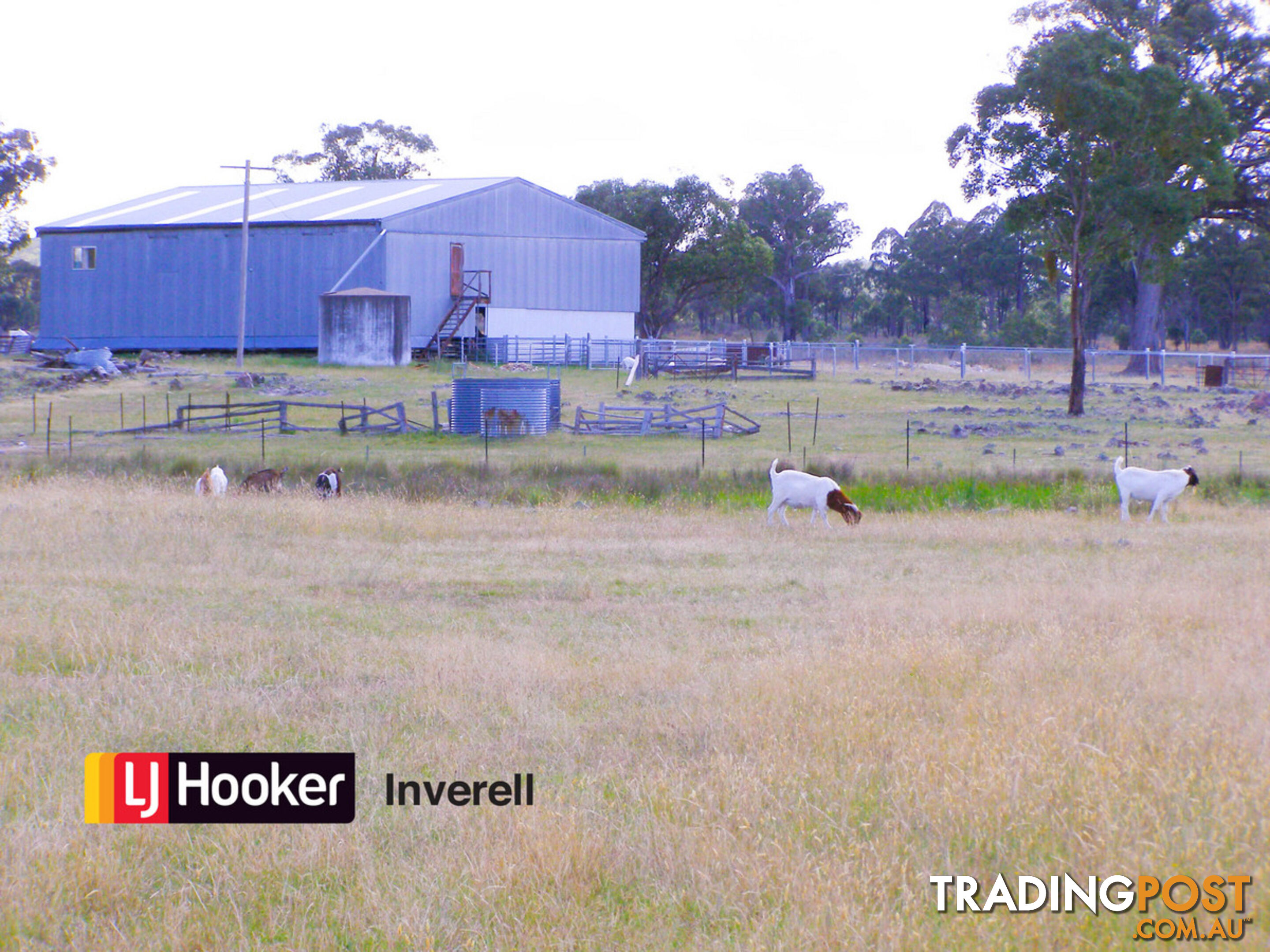 1178 Moredun Dams Road INVERELL NSW 2360