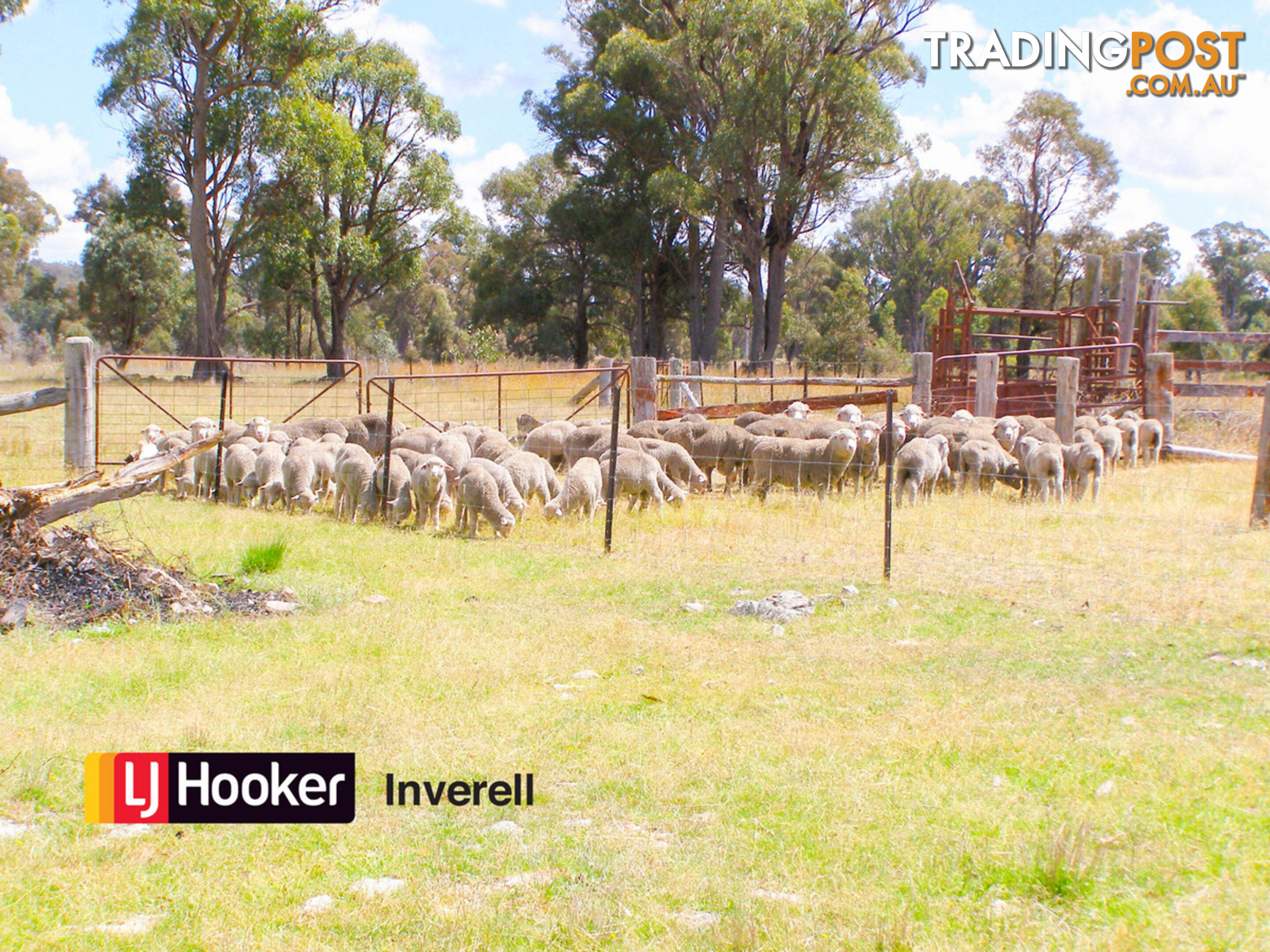 1178 Moredun Dams Road INVERELL NSW 2360