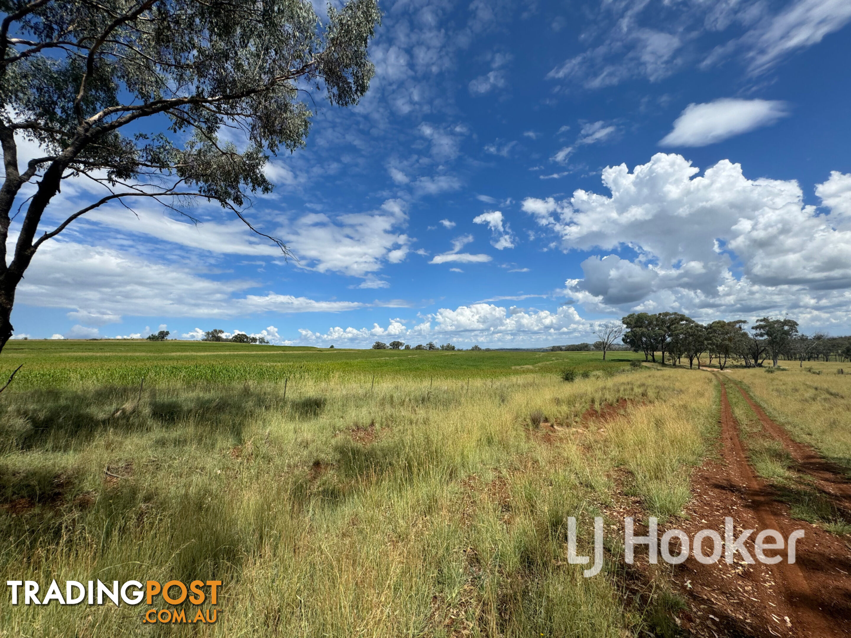 89 Bells Lane INVERELL NSW 2360