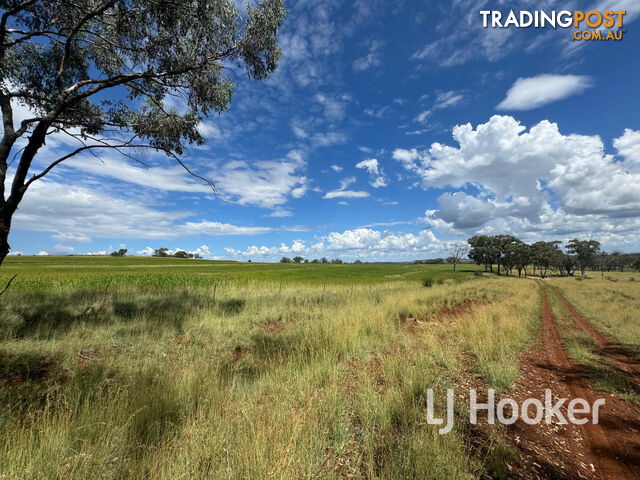 89 Bells Lane INVERELL NSW 2360