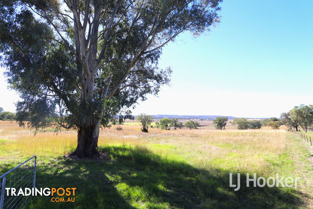 229 Old Bundarra Road INVERELL NSW 2360