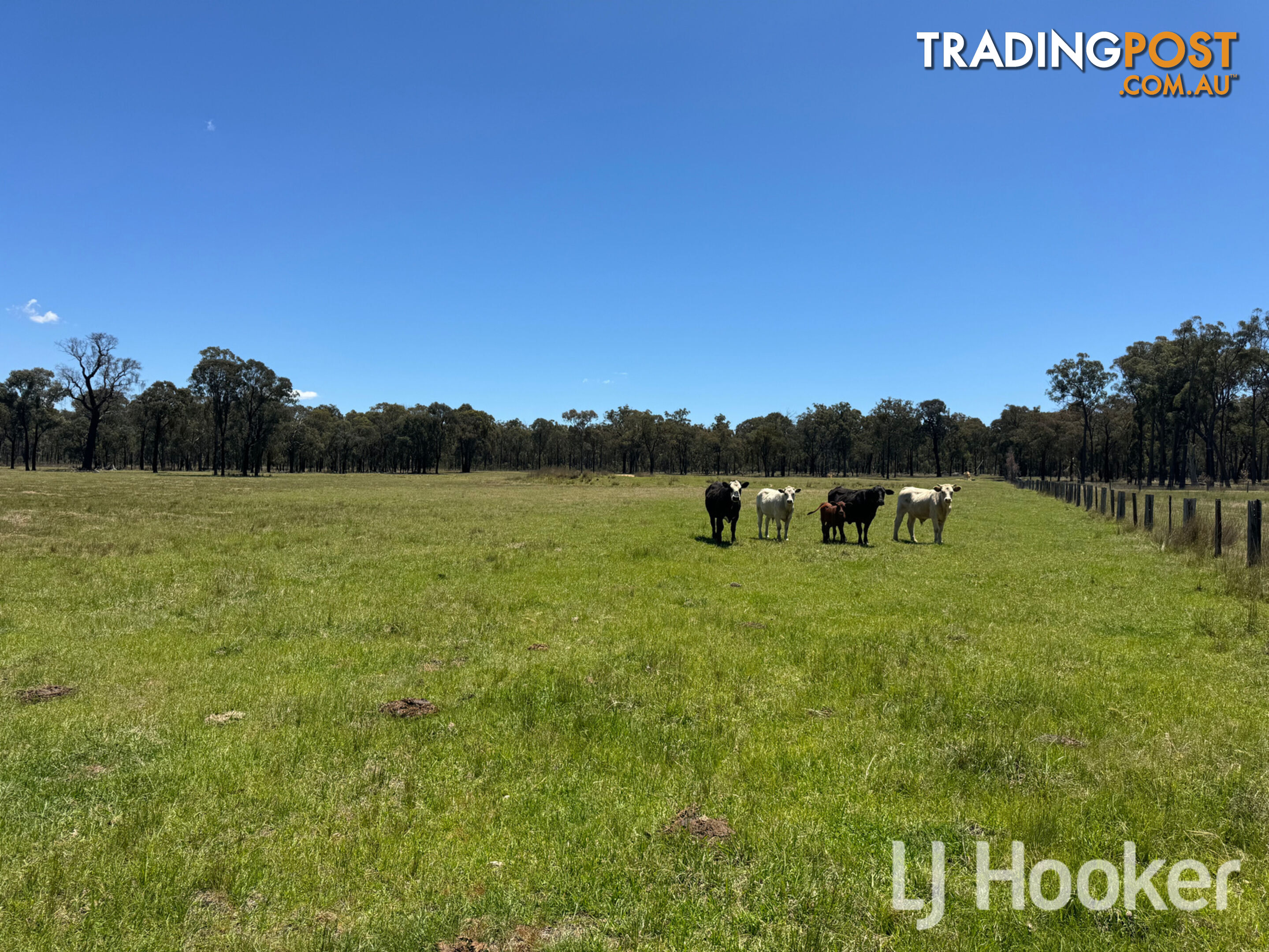 200 Aberdeen Road INVERELL NSW 2360