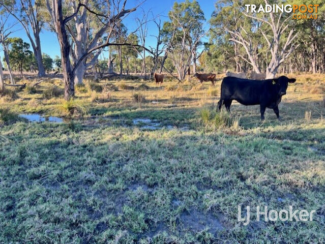 296 Limestone Road INVERELL NSW 2360