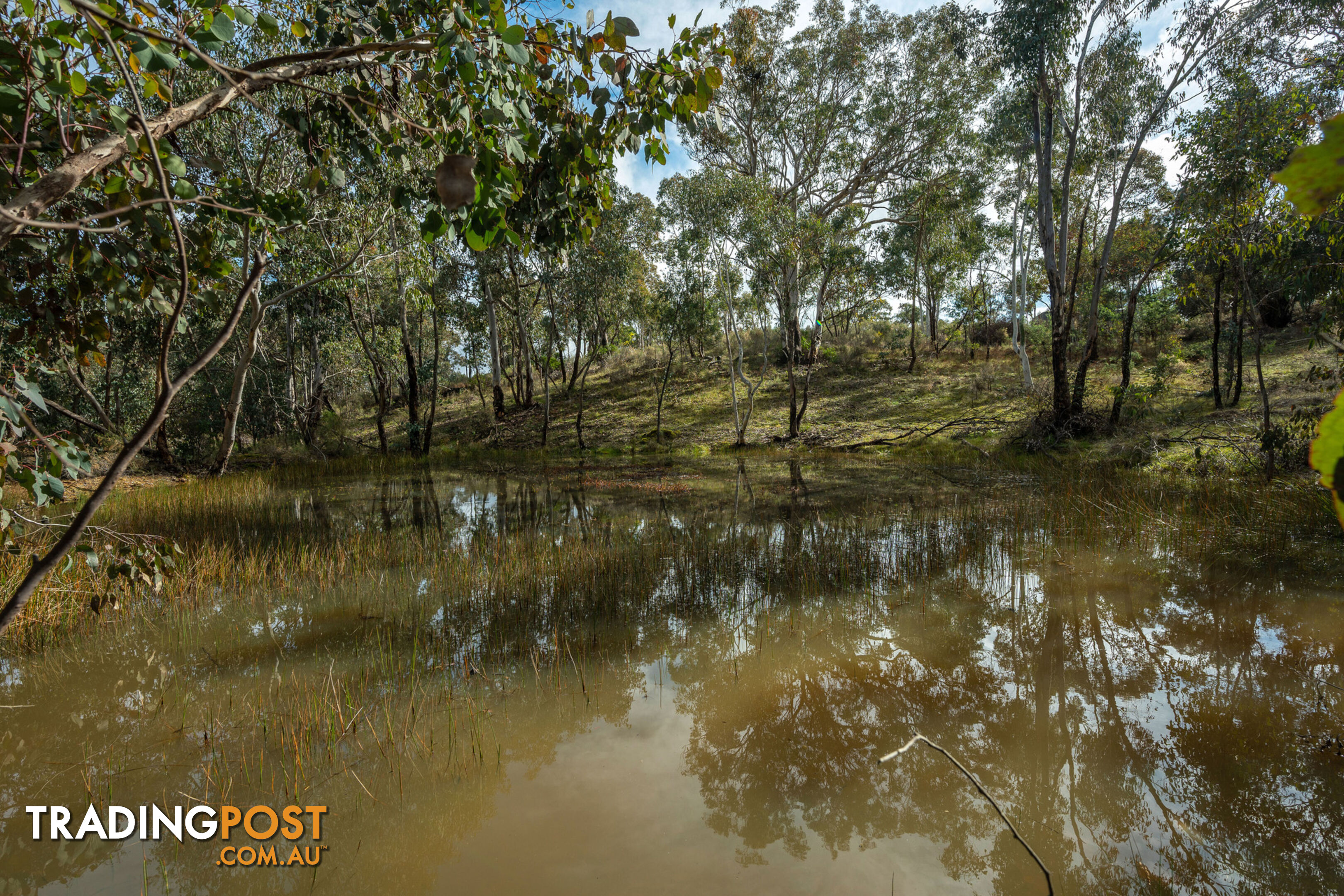 Thunder Ridge 3361 Hill End Road Hargraves NSW 2850