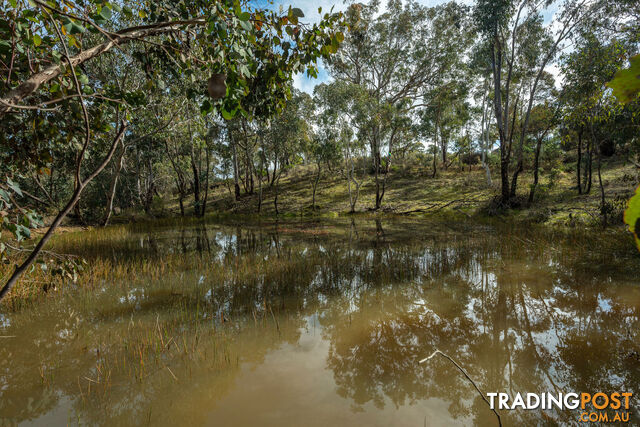 Thunder Ridge 3361 Hill End Road Hargraves NSW 2850