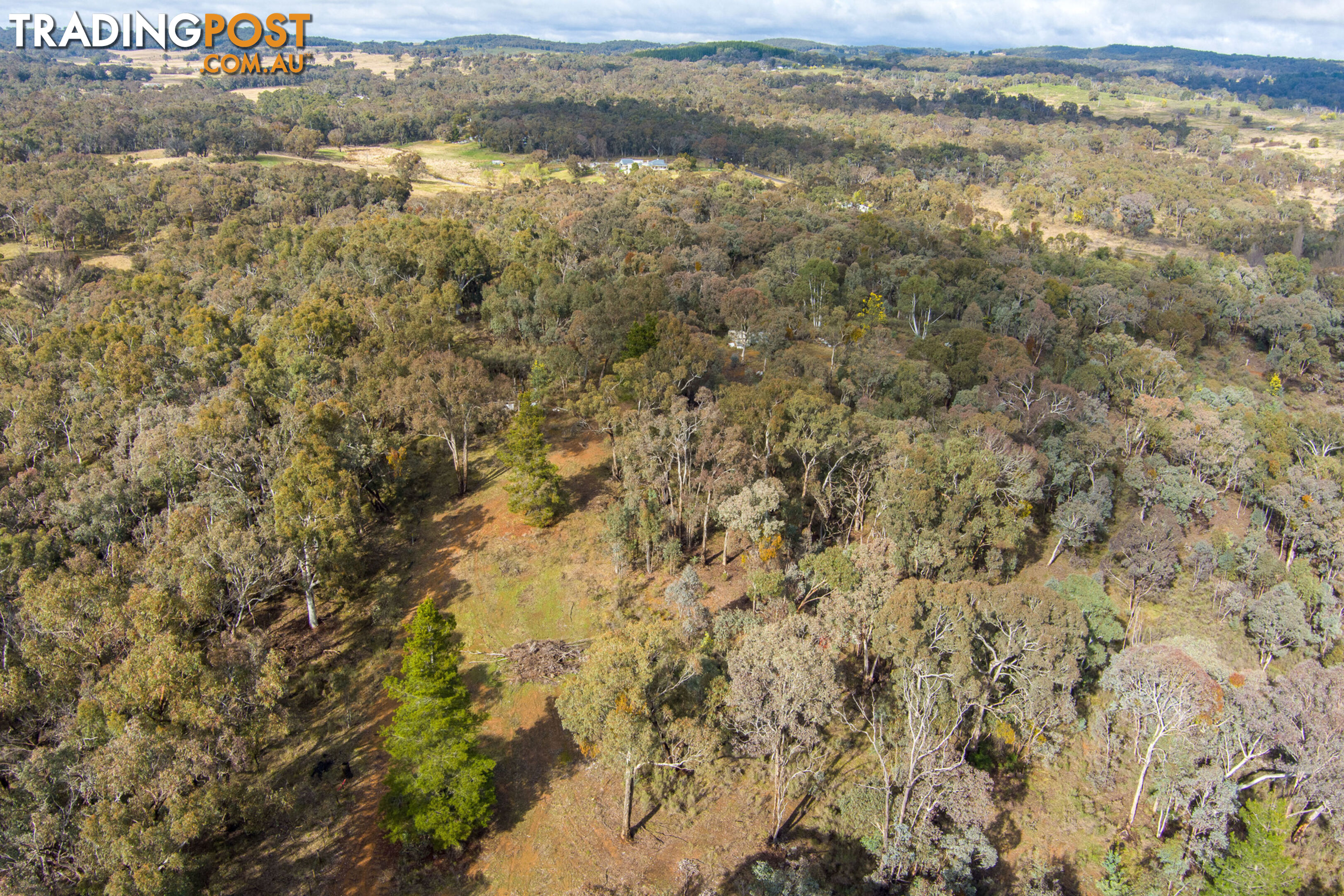 Thunder Ridge 3361 Hill End Road Hargraves NSW 2850