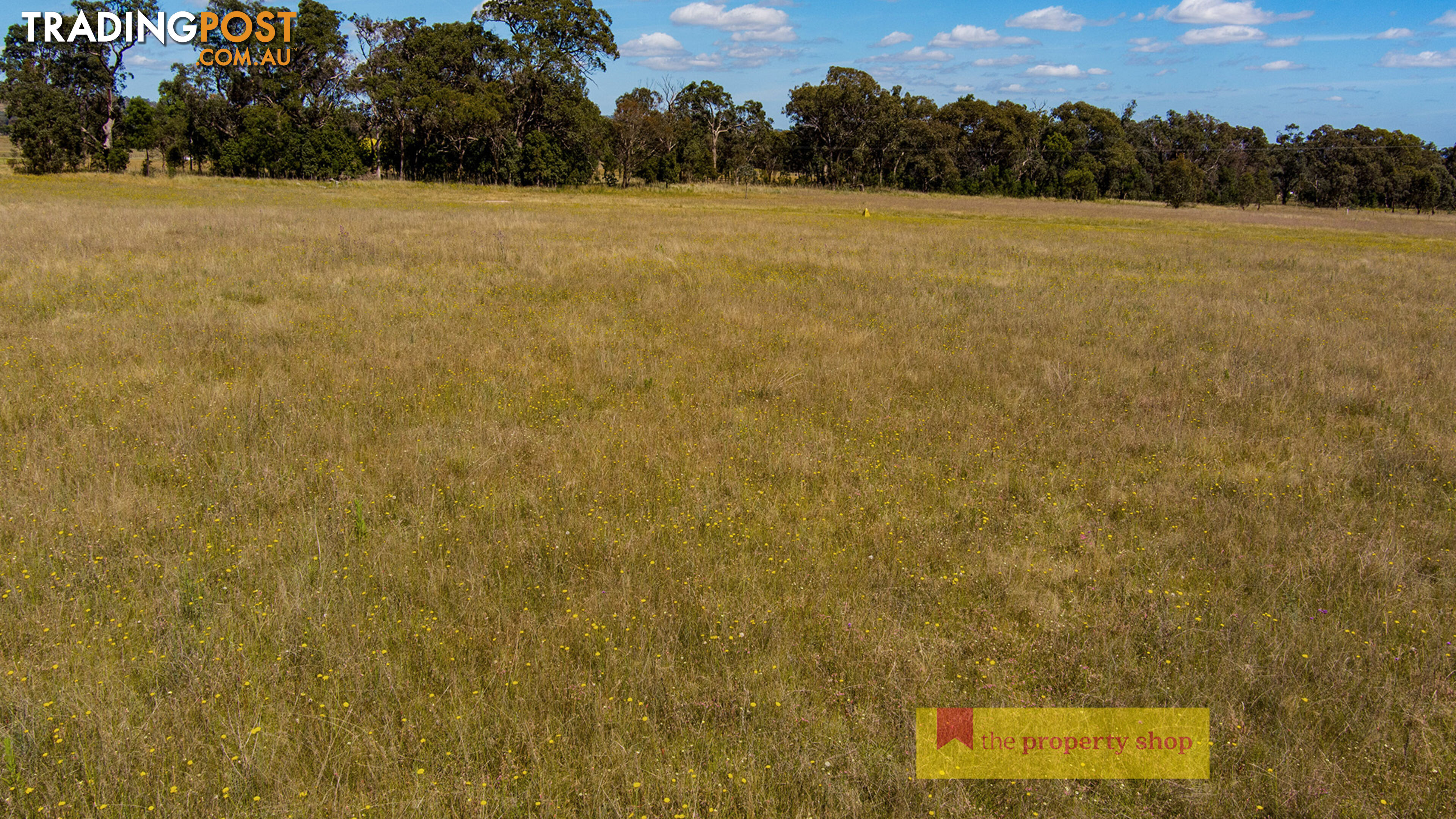 1040 Black Springs Road Mudgee NSW 2850