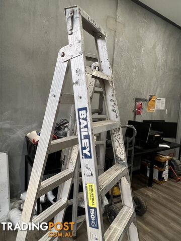 150 Kg Bailey Ladder