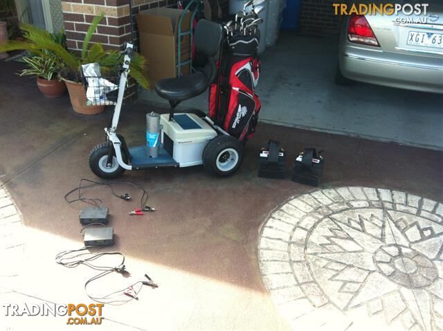 Parmaker One Man Golf Buggy