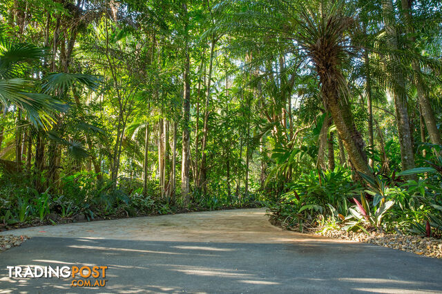 41 Anning Road Forest Glen QLD 4556
