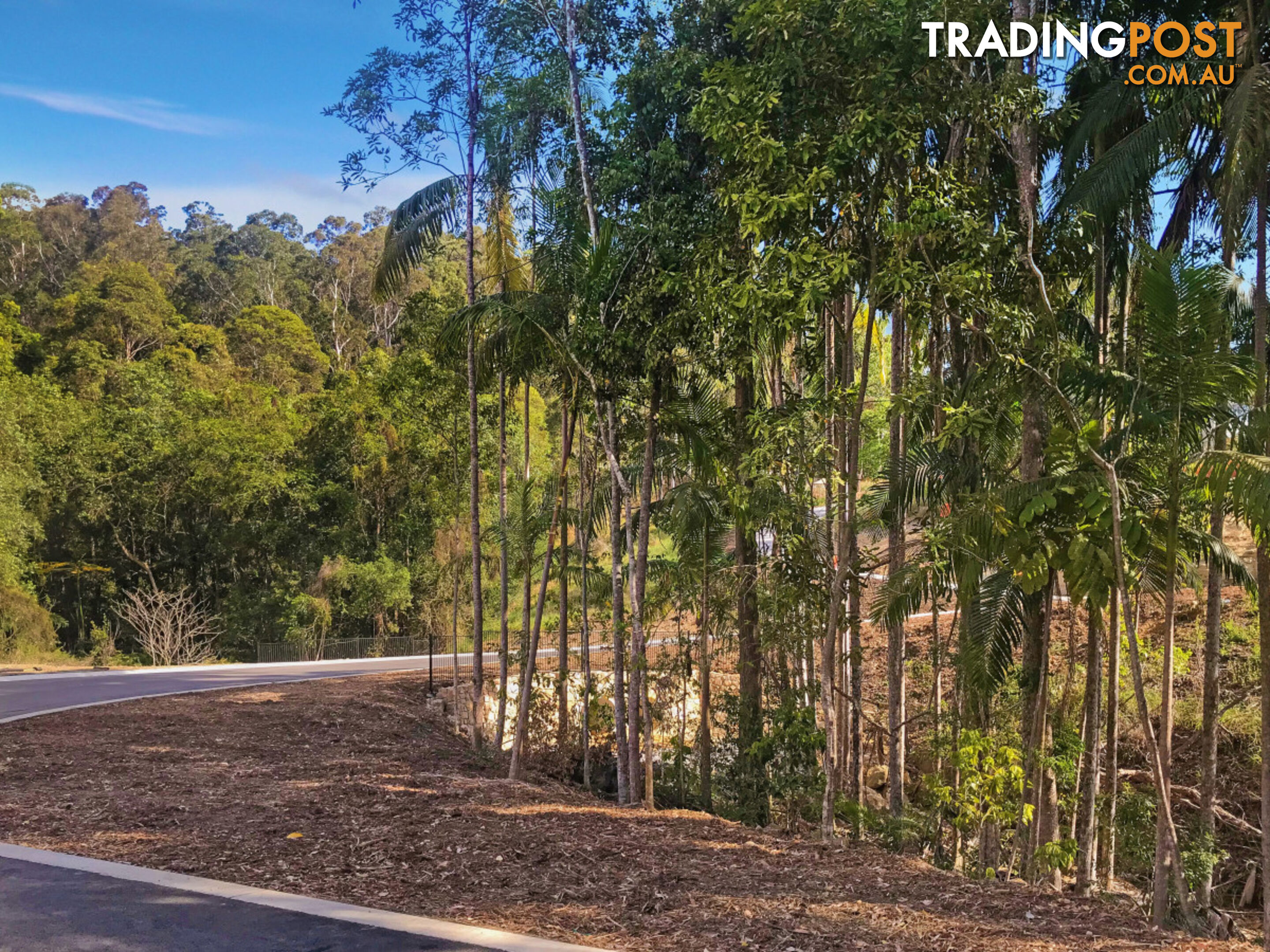 Anning Road 'Northridge' Forest Glen QLD 4556