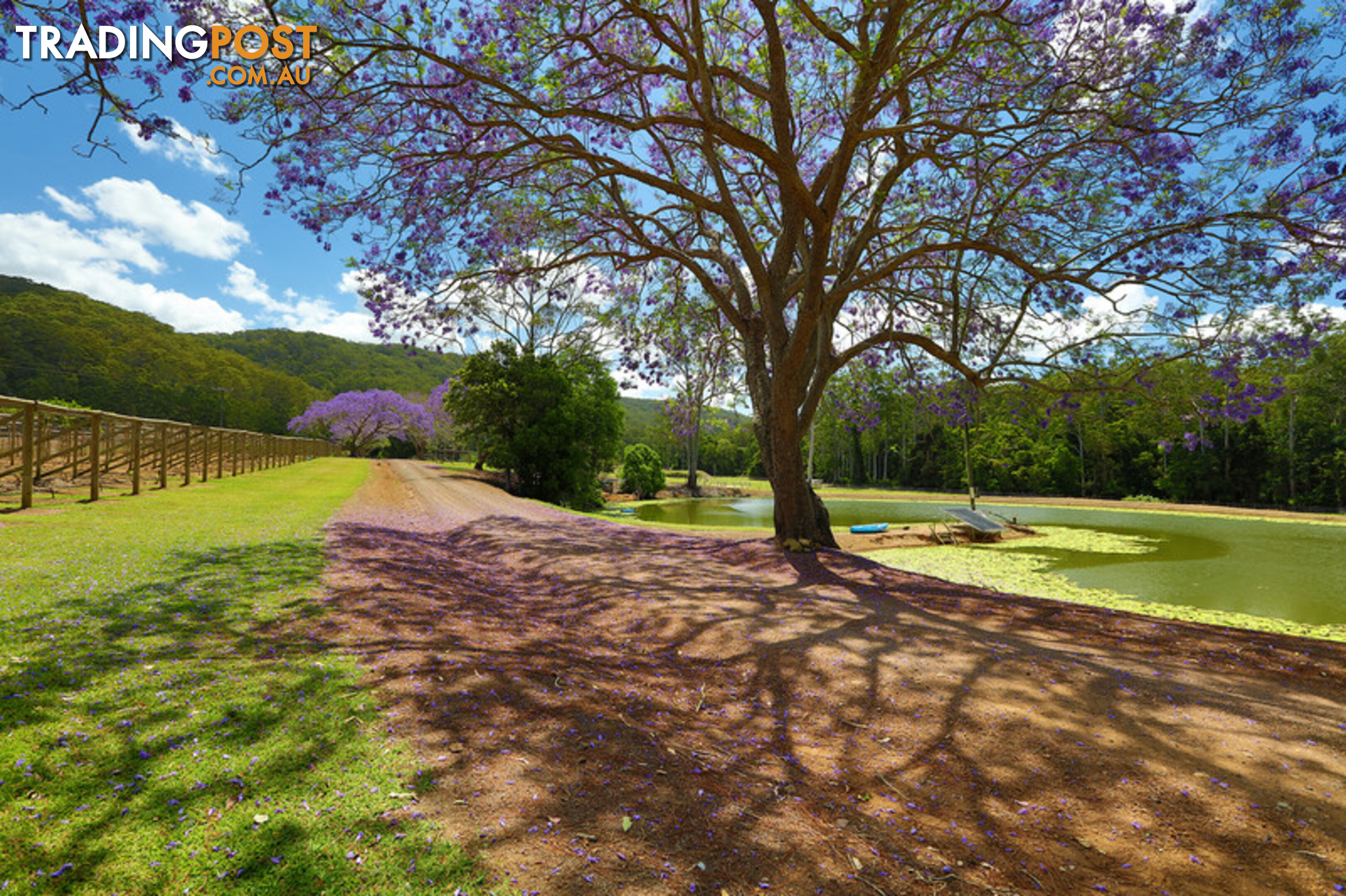 53 Shrapnel Road COOLOOLABIN QLD 4560