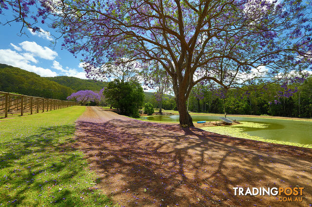 53 Shrapnel Road COOLOOLABIN QLD 4560