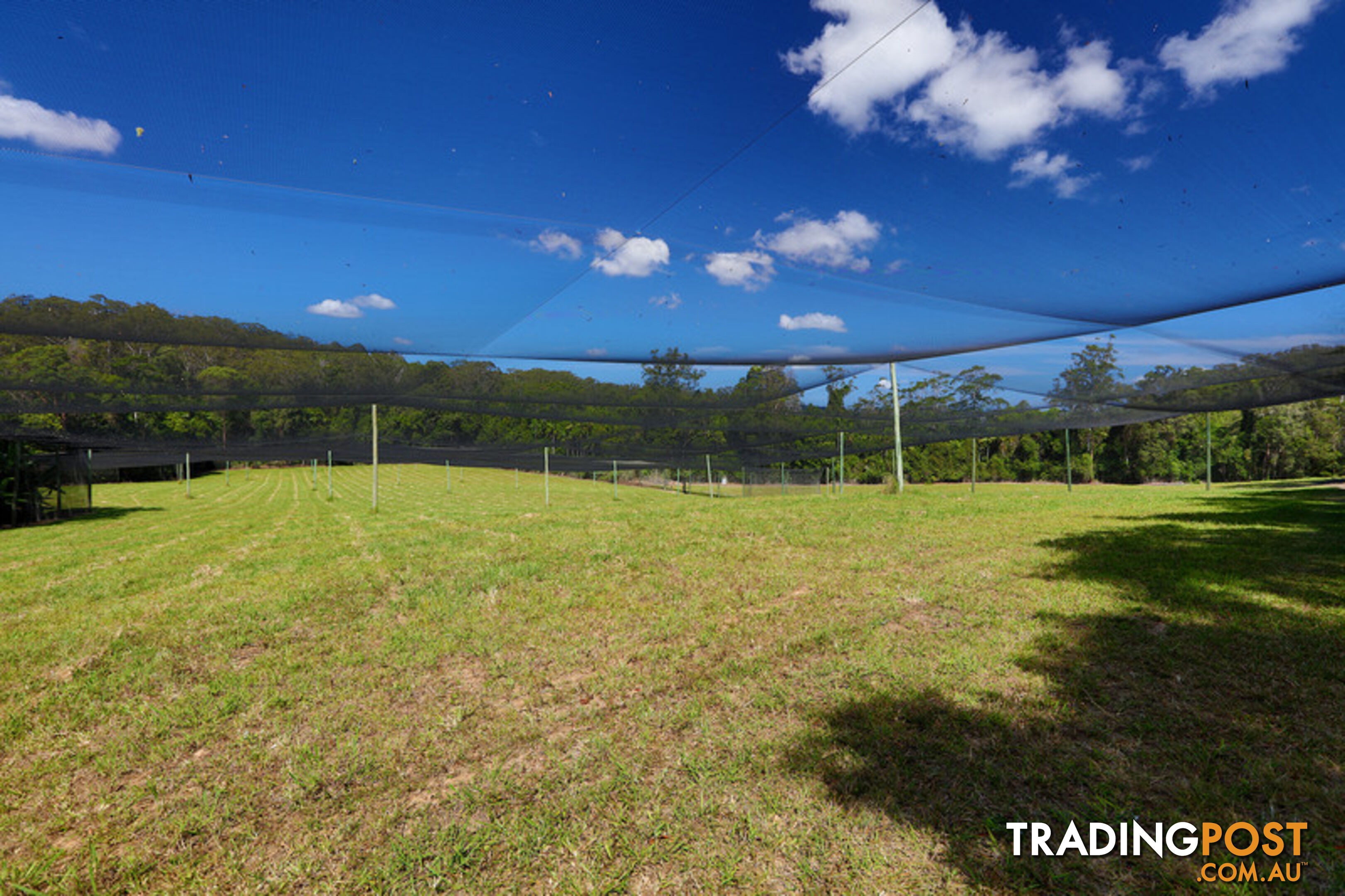 53 Shrapnel Road COOLOOLABIN QLD 4560