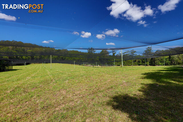 53 Shrapnel Road COOLOOLABIN QLD 4560