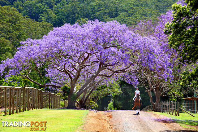 53 Shrapnel Road COOLOOLABIN QLD 4560