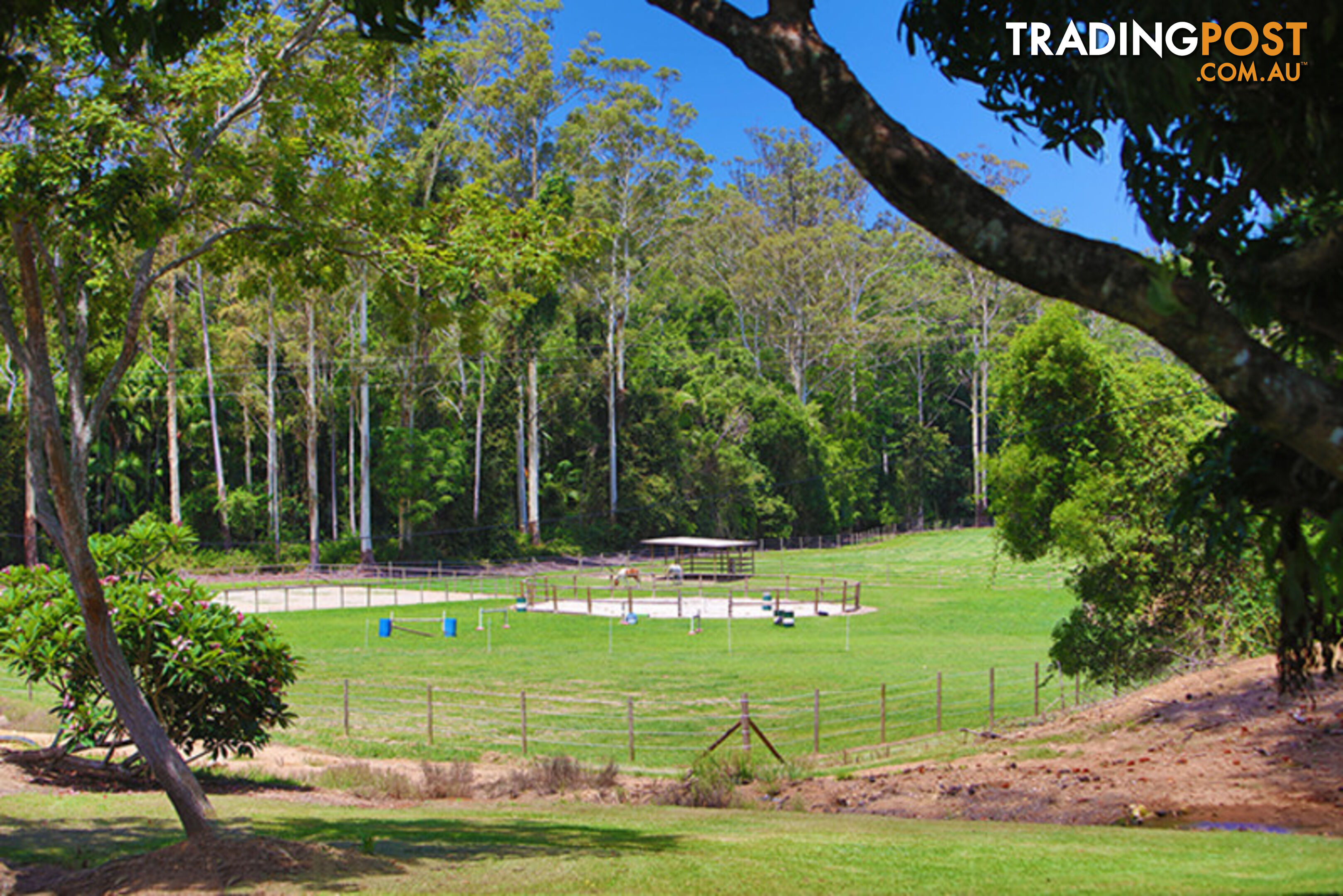 53 Shrapnel Road COOLOOLABIN QLD 4560