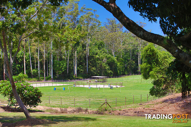 53 Shrapnel Road COOLOOLABIN QLD 4560