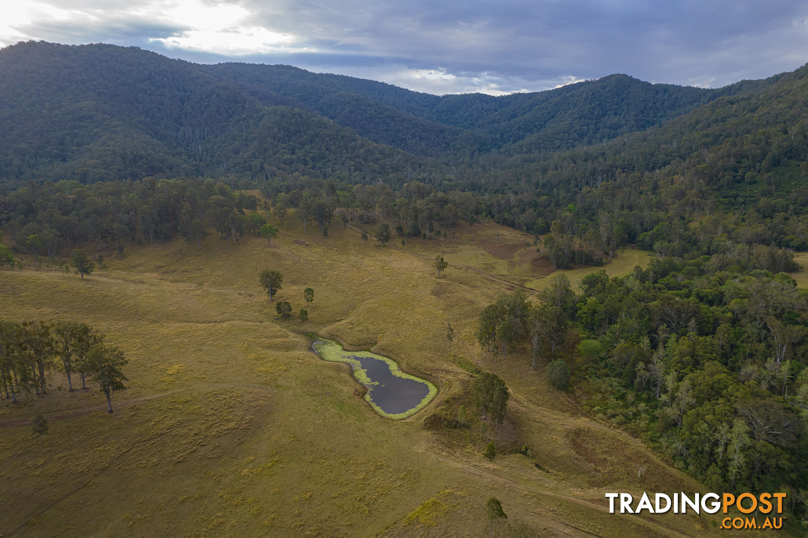 61 Dr Page Road Conondale QLD 4552