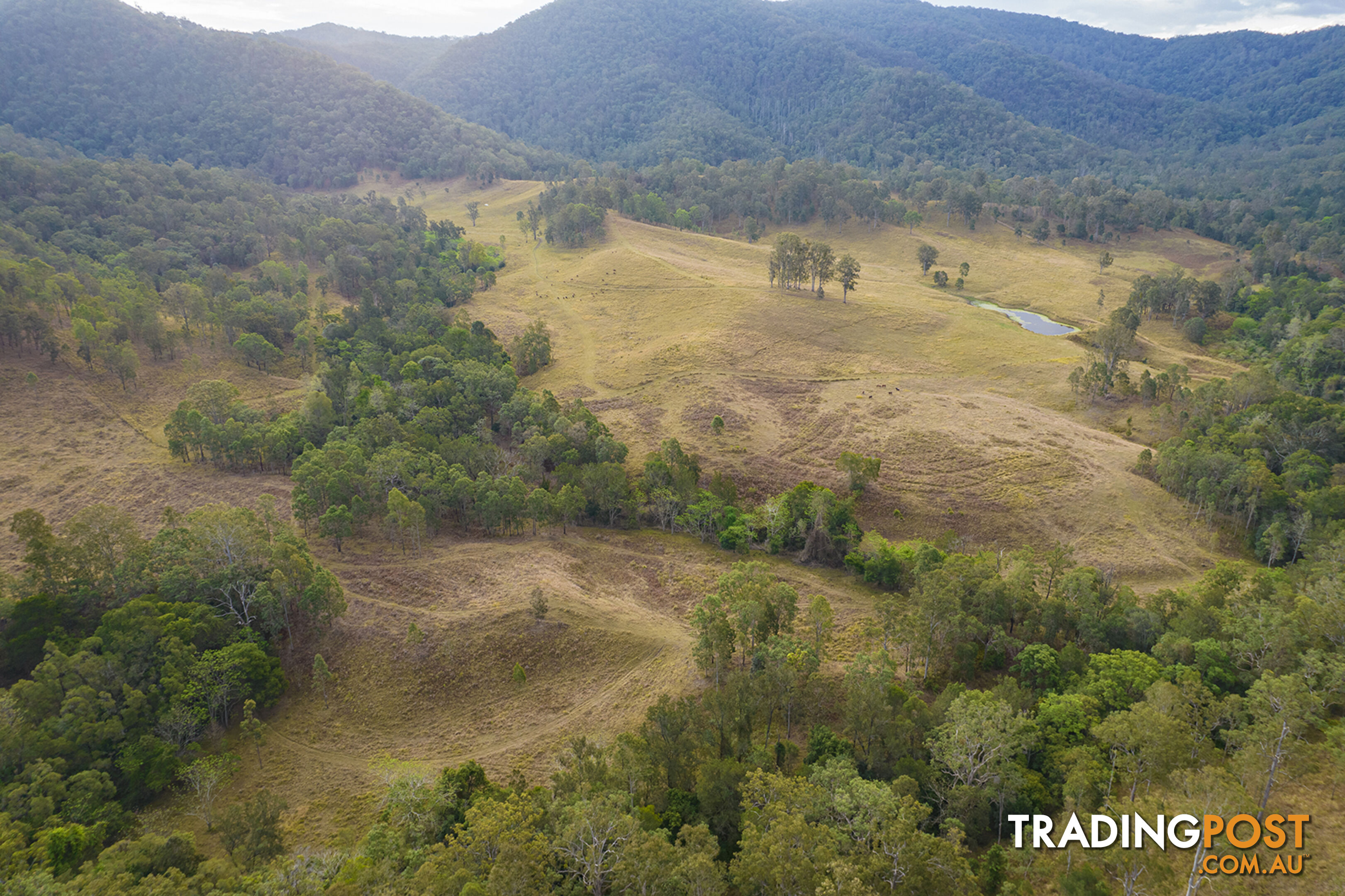 61 Dr Page Road Conondale QLD 4552