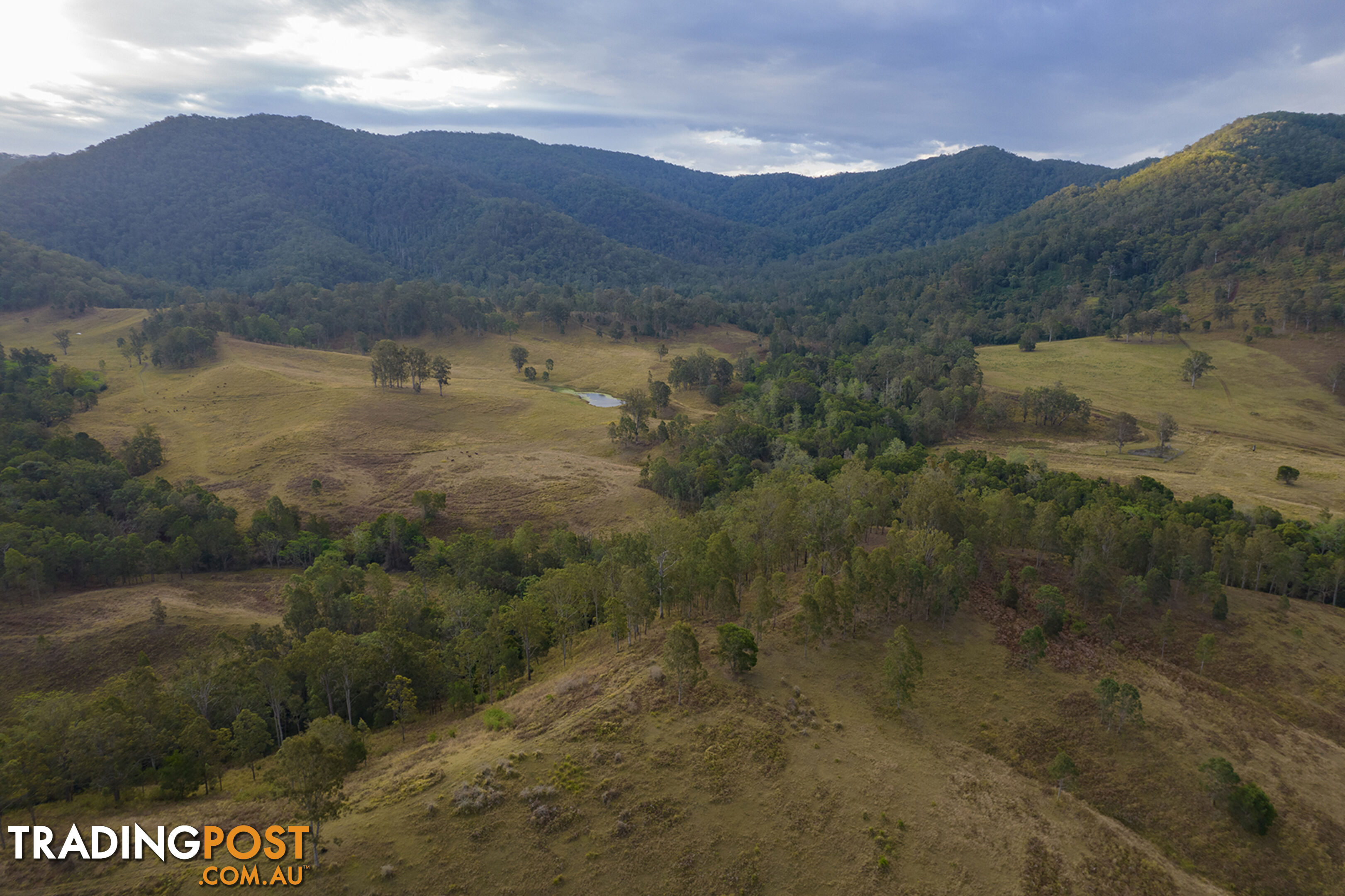 61 Dr Page Road Conondale QLD 4552