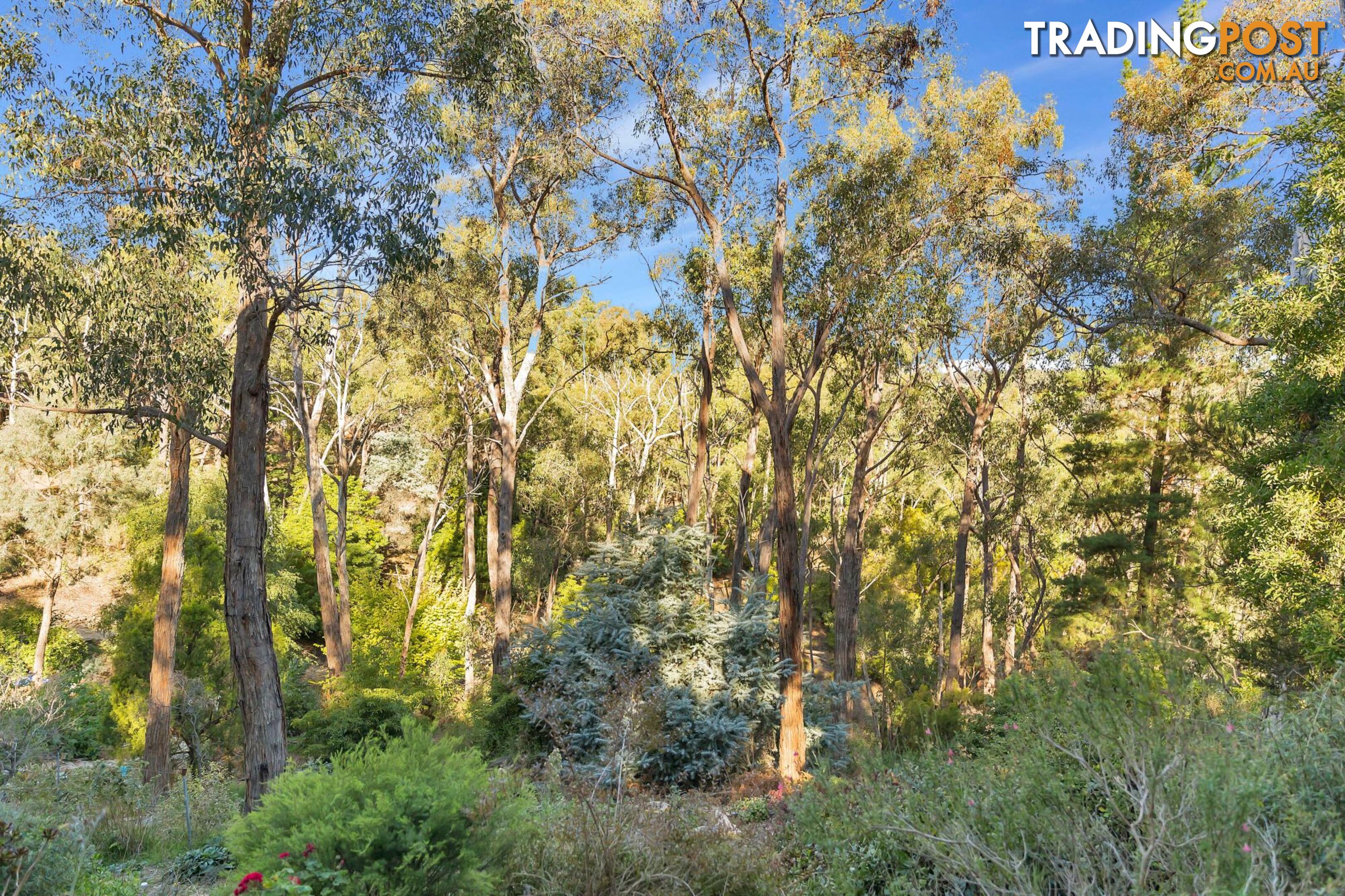 4 Wychwood Grove UPPER STURT SA 5156