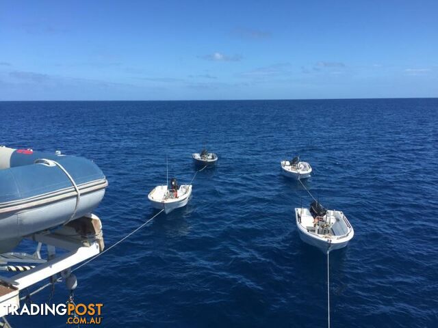 SMART WAVE 4200 OPEN TILLER 50HP MERCURY 4 STROKE ELECTRIC START POWER TILT PACKAGE - photo 5 of 25