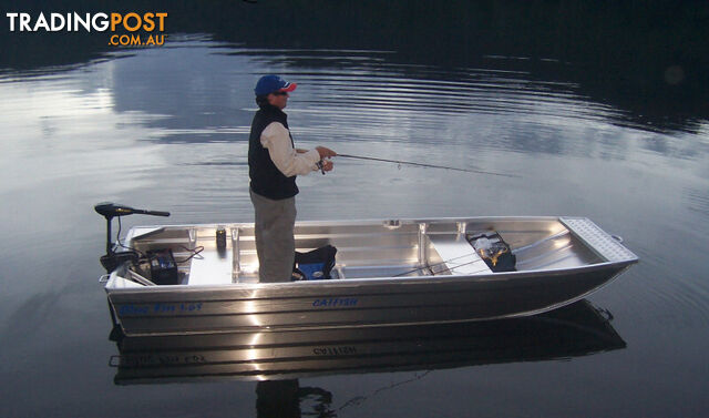 BLUEFIN CATFISH 3.65