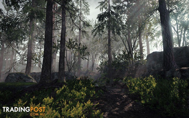 Warhammer: The End Times - Vermintide [Pre-Owned] (Xbox One) - Nordic Games - P/O Xbox One Software GTIN/EAN/UPC: 9006113009115 - photo 5 of 6