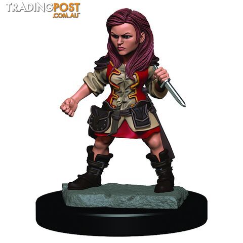 Dungeons & Dragons Premium Female Halfing Rouge Pre-Painted Figure - WizKids - Tabletop Role Playing Game GTIN/EAN/UPC: 634482930199