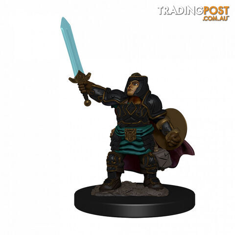 Dungeons & Dragons Premium Female Dwarf Paladin Pre-Painted Figure - WizKids - Tabletop Role Playing Game GTIN/EAN/UPC: 634482930274