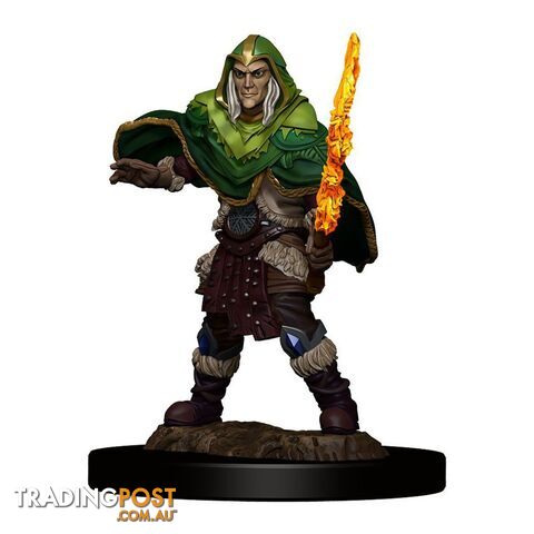 Dungeons & Dragons Premium Male Elf Fighter Pre-Painted Figure - WizKids - Tabletop Role Playing Game GTIN/EAN/UPC: 634482930397