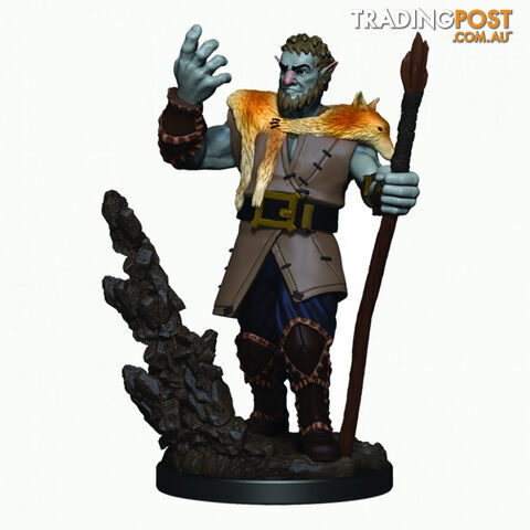 Dungeons & Dragons Firbolg Male Druid Premium Figure - WizKids - Tabletop Role Playing Game GTIN/EAN/UPC: 634482930137