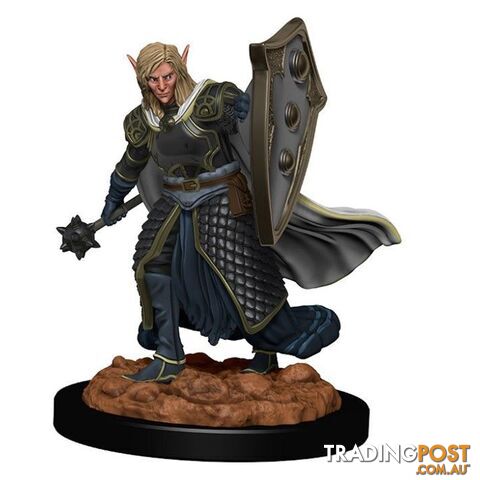 Dungeons & Dragons Elf Male Cleric Premium Figure - WizKids - Tabletop Role Playing Game GTIN/EAN/UPC: 634482930083