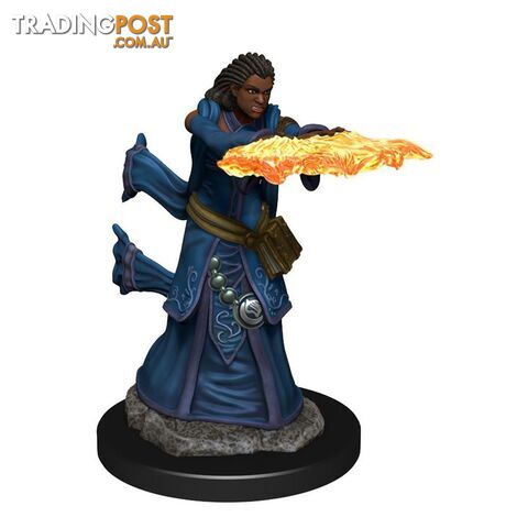 Dungeons & Dragons Premium Female Human Wizard Pre-Painted Figure - WizKids - Tabletop Role Playing Game GTIN/EAN/UPC: 634482930342