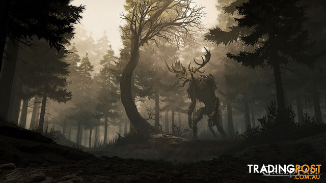 GreedFall Gold Edition (Xbox Series X, Xbox One) - Focus Home Interactive - Xbox Series X Software GTIN/EAN/UPC: 3512899123984 - photo 5 of 9