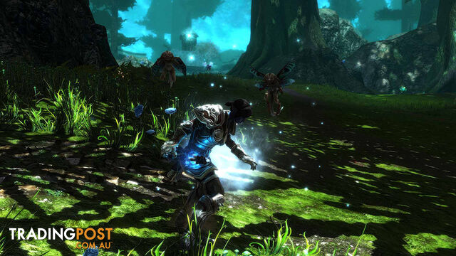 Kingdoms of Amalur: Re-Reckoning (Xbox One) - THQ Nordic - Xbox One Software GTIN/EAN/UPC: 9120080076076 - photo 4 of 5